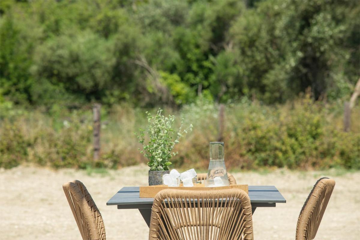 Seascape Villas Vassiliki - Beachfront Villas Ngoại thất bức ảnh